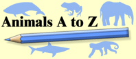 Animals A to Z | Education World