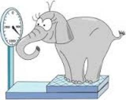 Weighing the Elephant | Education World